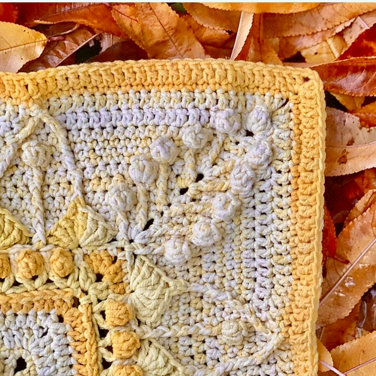 Charlotte's Universe | Yarn Pack | Sunshine Colourway | STARTER PACK