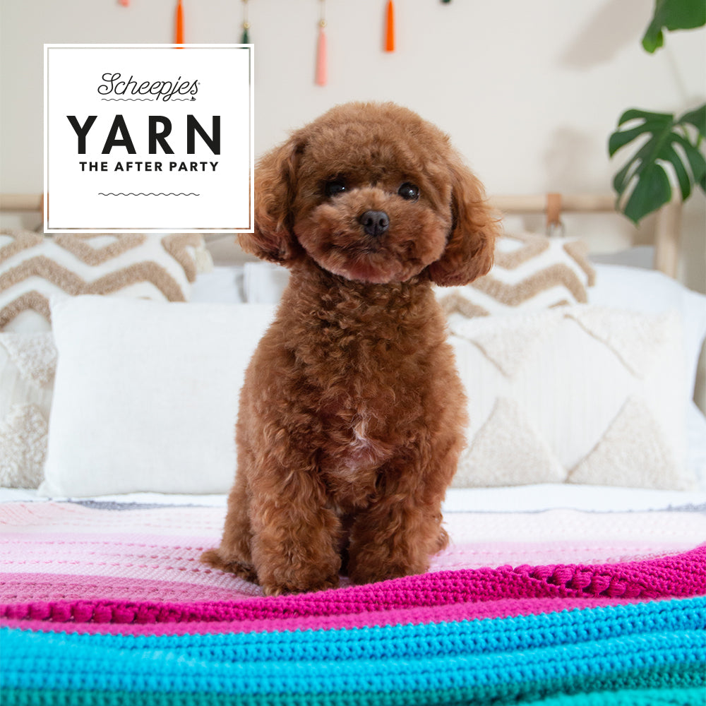 Sugar Pop Throw Organicon Crochet Pattern